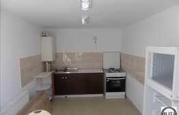 Apartament 4 camere, 75 mp, renovat, zona USAMV