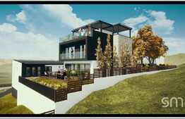 Casa individuala cu priveliste superba la 3 minute de Vivo !