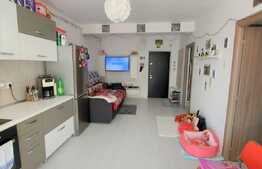 Apartament 2 camere, la cheie, 40 mp, zona Terra
