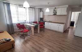 Apartament de 2 camere, incalzire in pardoseala, parter inalt, zona Stejarului