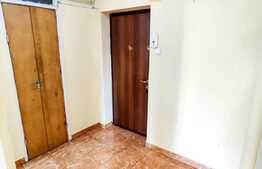 Apartament cu 1 camera, 40 mp, balcon, etaj intermediar, zona Minerva
