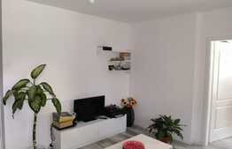 Apartament 2 camere ,modern/lux, Terasa 21mp ,zona Teilor !