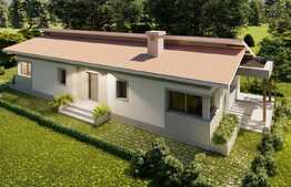 Proiect casa individuala in stil Norvegian, in Bod!