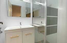 2 camere, 49 mp, modern,  Piata Muzeului 