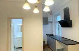 2 camere, 49 mp, modern,  Piata Muzeului 