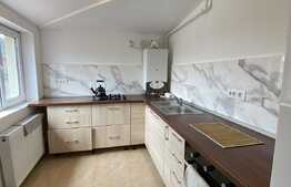 Apartament 3 camere, modern, 56 mp, zona Muzeul Apei! 