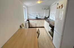 Apartament 3 camere, modern, 56 mp, zona Muzeul Apei! 