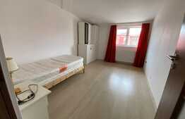 Apartament 3 camere, modern, 56 mp, zona Muzeul Apei! 