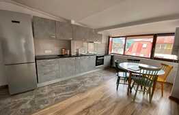 Apartament 3 camere, cochet, 85 mp, zona Muzeul Apei!