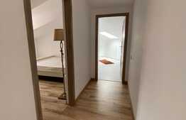 Apartament 3 camere, cochet, 85 mp, zona Muzeul Apei!