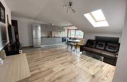 Apartament 3 camere, cochet, 85 mp, zona Muzeul Apei!