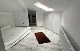 Apartament 3 camere, cochet, 85 mp, zona Muzeul Apei!