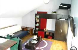 Mansarda 1 camera, 42 mp, la 2 minute de piata agro-alimentara