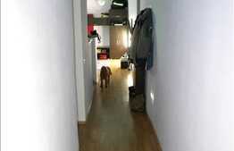 Mansarda 1 camera, 42 mp, la 2 minute de piata agro-alimentara