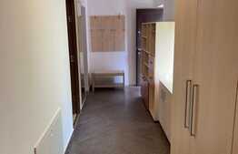 Apartament 3 camere, mobilat si utilat, zona Golden Tulip 