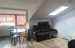 Oportunitate investitie! 2 apartamente, 140 mp, zona Muzeul Apei!