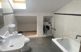 Oportunitate investitie! 2 apartamente, 140 mp, zona Muzeul Apei!