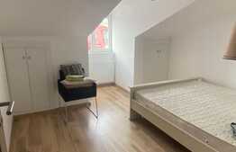 Oportunitate investitie! 2 apartamente, 140 mp, zona Muzeul Apei!