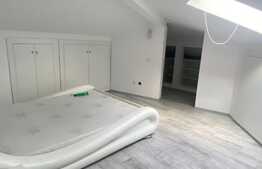 Oportunitate investitie! 2 apartamente, 140 mp, zona Muzeul Apei!