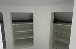 Oportunitate investitie! 2 apartamente, 140 mp, zona Muzeul Apei!