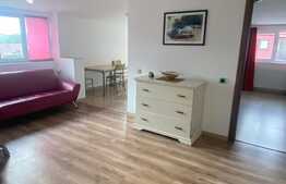 Oportunitate investitie! 2 apartamente, 140 mp, zona Muzeul Apei!