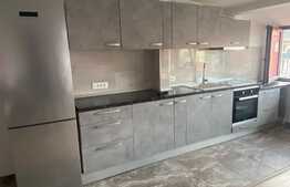 Oportunitate investitie! 2 apartamente, 140 mp, zona Muzeul Apei!