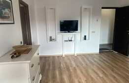 Oportunitate investitie! 2 apartamente, 140 mp, zona Muzeul Apei!