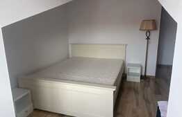 Oportunitate investitie! 2 apartamente, 140 mp, zona Muzeul Apei!