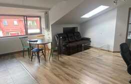 Oportunitate investitie! 2 apartamente, 140 mp, zona Muzeul Apei!