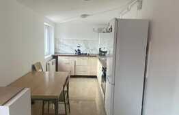 Oportunitate investitie! 2 apartamente, 140 mp, zona Muzeul Apei!