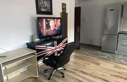 Oportunitate investitie! 2 apartamente, 140 mp, zona Muzeul Apei!