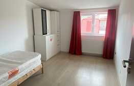 Oportunitate investitie! 2 apartamente, 140 mp, zona Muzeul Apei!