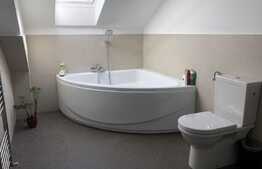 Apartament 4 camere de tip Loft cu regim de intaltime 4,5 m, cartier Buna Ziua!