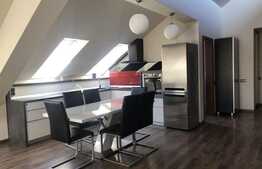 Apartament 4 camere de tip Loft cu regim de intaltime 4,5 m, cartier Buna Ziua!