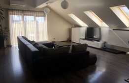 Apartament 4 camere de tip Loft cu regim de intaltime 4,5 m, cartier Buna Ziua!