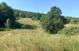 Blitz ofera spre vanzare teren intrevilan in Gilau 5400 mp, 30ml front