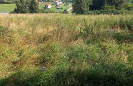 Blitz ofera spre vanzare teren intrevilan in Gilau 5400 mp, 30ml front