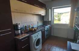 Apartament de 2 camere, parcare cu CF, boxă, zona Stejarului!