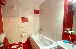 Garsoniera decomandata, 40 mp, zona restaurant Rod, Calea Turzii, Zorilor