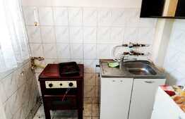 Garsoniera luminoasa, 24 mp + balcon, mobilata, zona Minerva