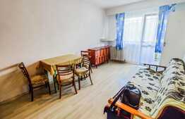 Garsoniera luminoasa, 24 mp + balcon, mobilata, zona Minerva