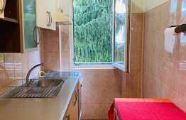 Apartament de 2 camere, 45 mp, zona strazii Parang