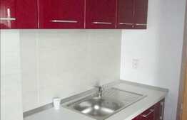 1 camera, 44 mp, mobilat modern, imobil nou, complex Flora Park