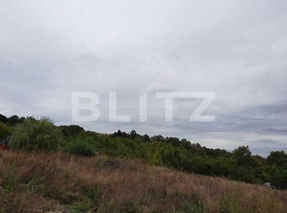 Teren de vânzare Padureni (Chinteni) - 70564TV | BLITZ Cluj-Napoca | Poza1