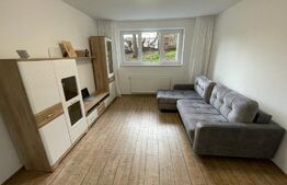 Apartament 2 camere, 44 mp, finisat, in zona Horea