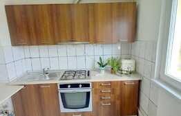 Apartament 1 camera, 42 mp utili, etaj intermediar, zona Garii!