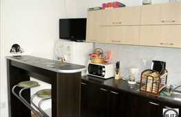 Oferta apartament de vanzare, 24 mp