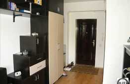 Oferta apartament de vanzare, 24 mp