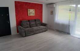 Apartament 2 camere, prima inchiriere, loc de parcare, zona Stejarului!