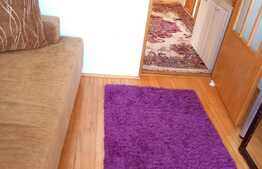 Apartament cu 2 camere, 50 mp, zona strazii Constantin Brancusi